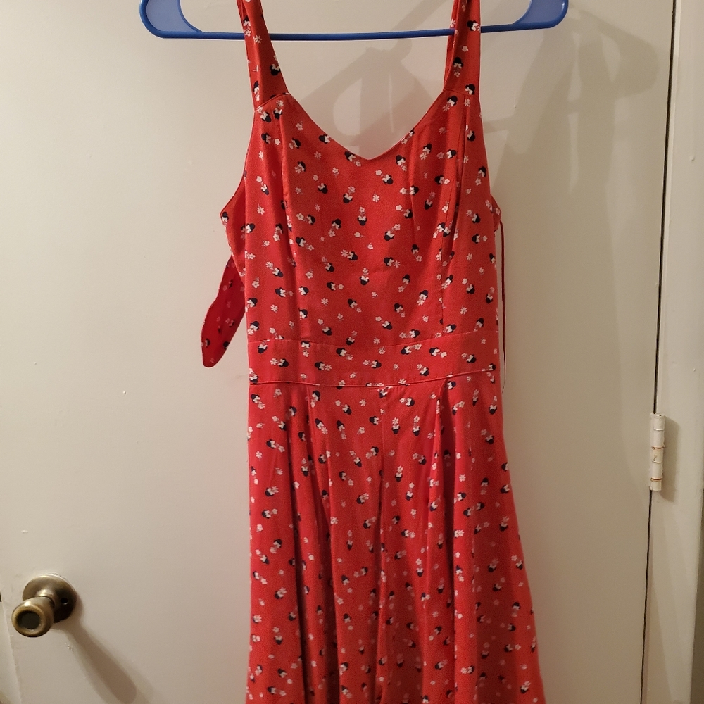 Disney Red Dress